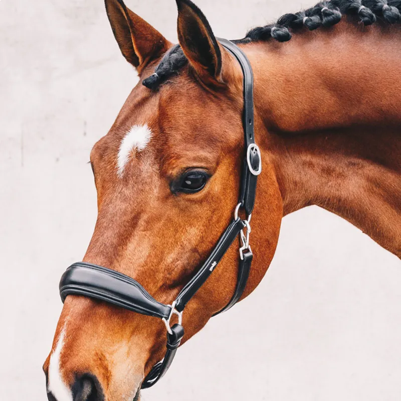 Schockemohle Fremont Leather Anatomical Headcollar - Black/SIlver