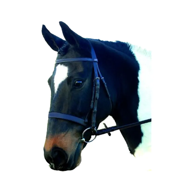 GFS Plain Bridle - Black