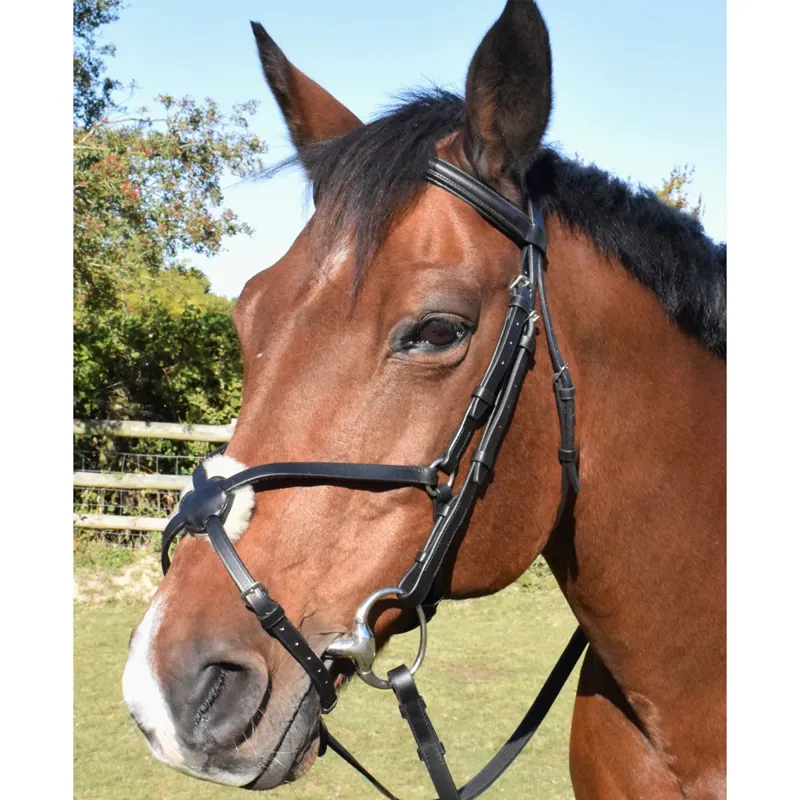 JHL Grackle Bridle - Black