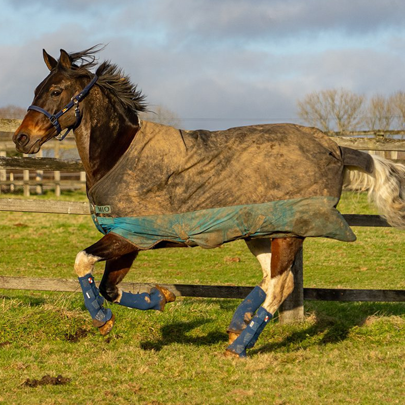 Equilibrium Equi-Chaps Hardy Chaps - Blue-3