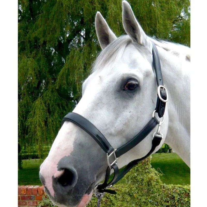 Mark Todd Patent Leather Headcollar in Cob - Black-1