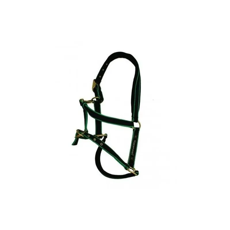 Horseware Newmarket Fashion Headcollar - Navy/Aqua