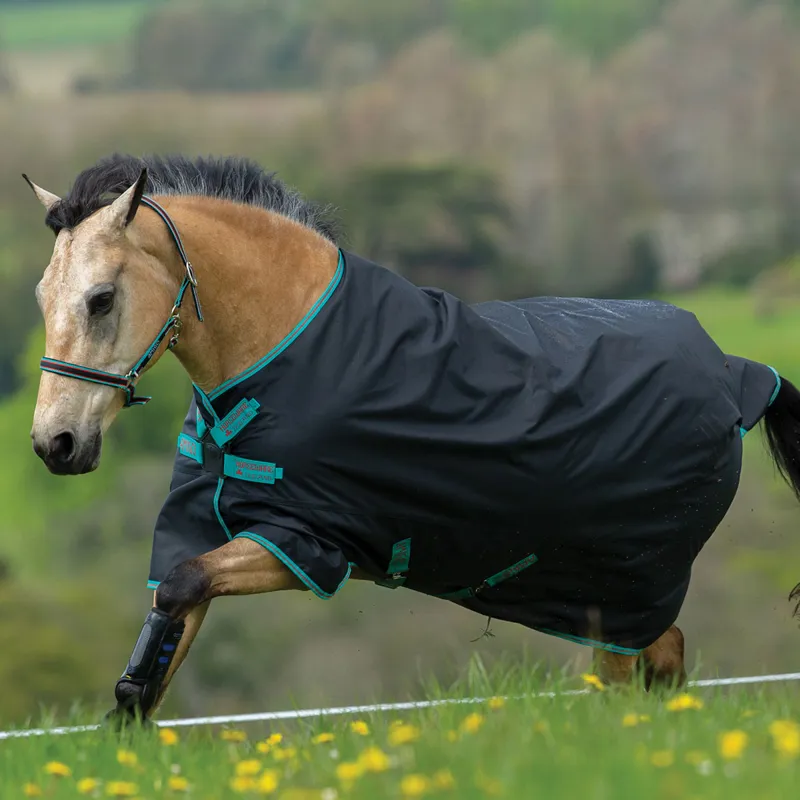 Amigo Hero 900 Lite Disc Front Closure Turnout Rug - Black/Teal/Dark Cherry