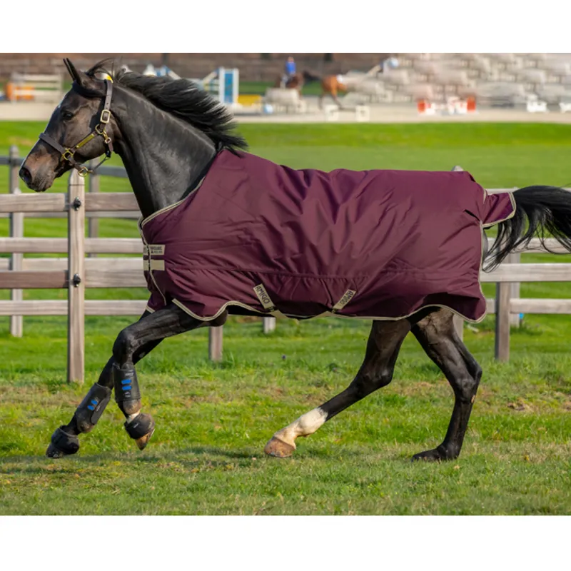 Horseware Amigo Hero Ripstop Lite Turnout Rug - Fig/Navy/Tan