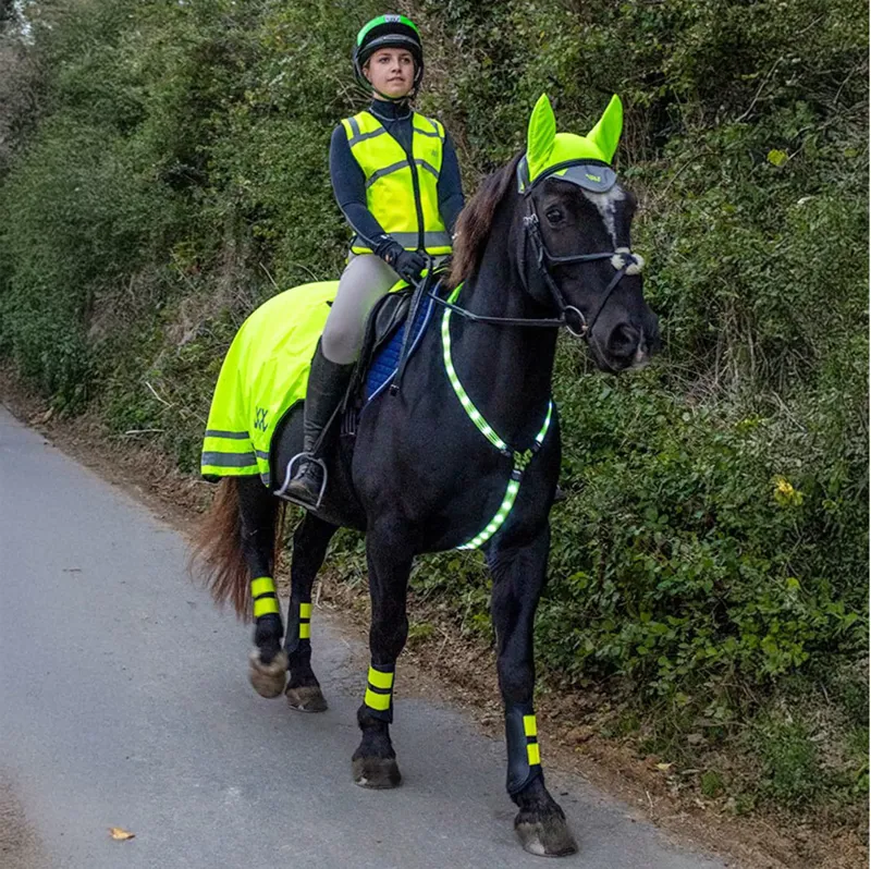 Woof Wear LED Neck Band - Yellow-4