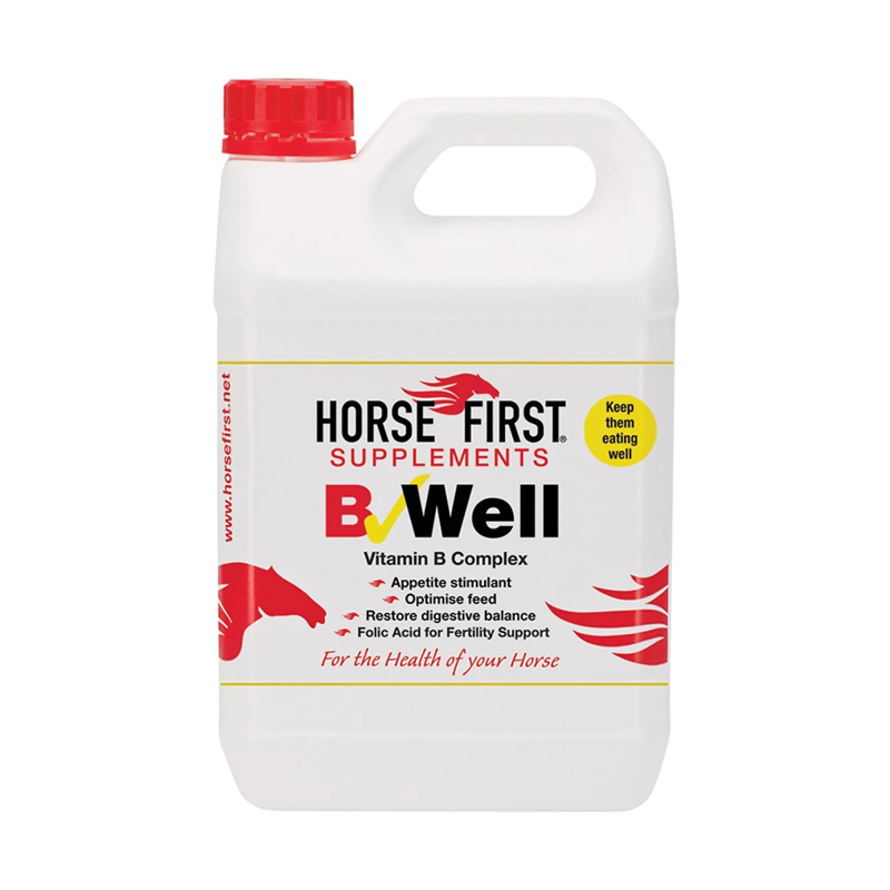 Horse First B Well - 1L