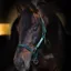 Horseware Field Safe Headcollar - Green