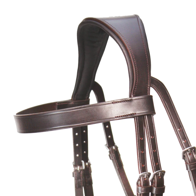 Henry James Hunter Browband - Havana Brown