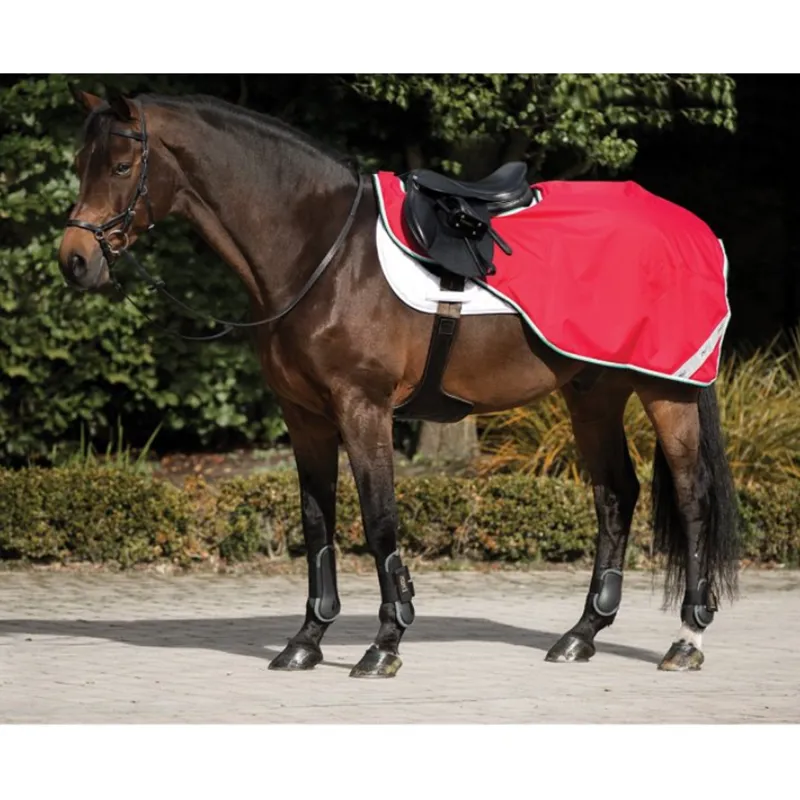 Horseware Amigo Competition Exercise Sheet - Red/White/Green/Black