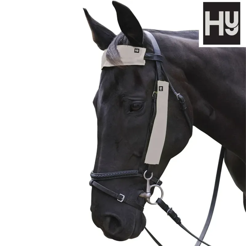 HYVIZ Silva Mercury Reflective Bridle Set 