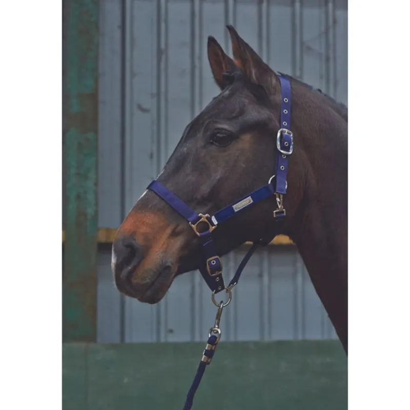 John Whitaker Signature Plaque Headcollar - Navy 