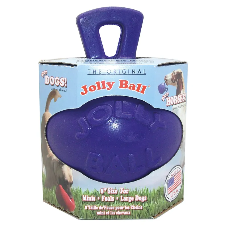 Jolly Pets Dual Jolly Ball - Purple - 8 inch