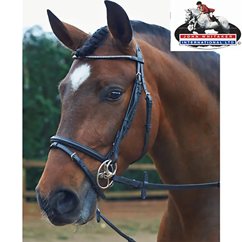 John Whitaker Square Bling Flash Bridle - Brown/Black Stones