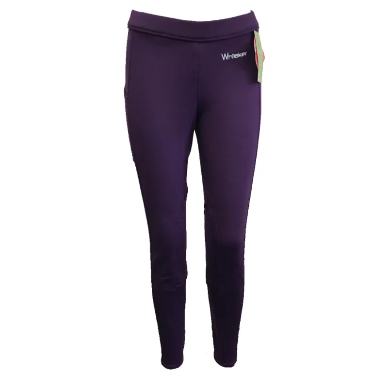 John Whitaker Burton Ladies Winter Breeches -  Purple 