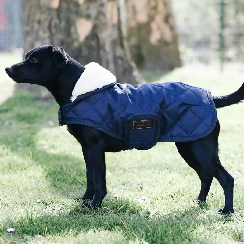 Kentucky Dog Coat - Navy-2