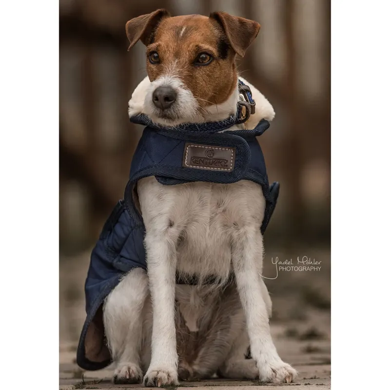 Kentucky Dog Coat - Navy-4