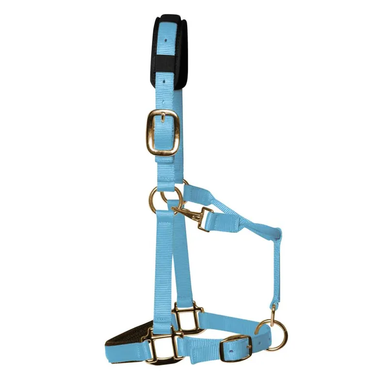 KM Elite Padded Headcollar - Baby Blue