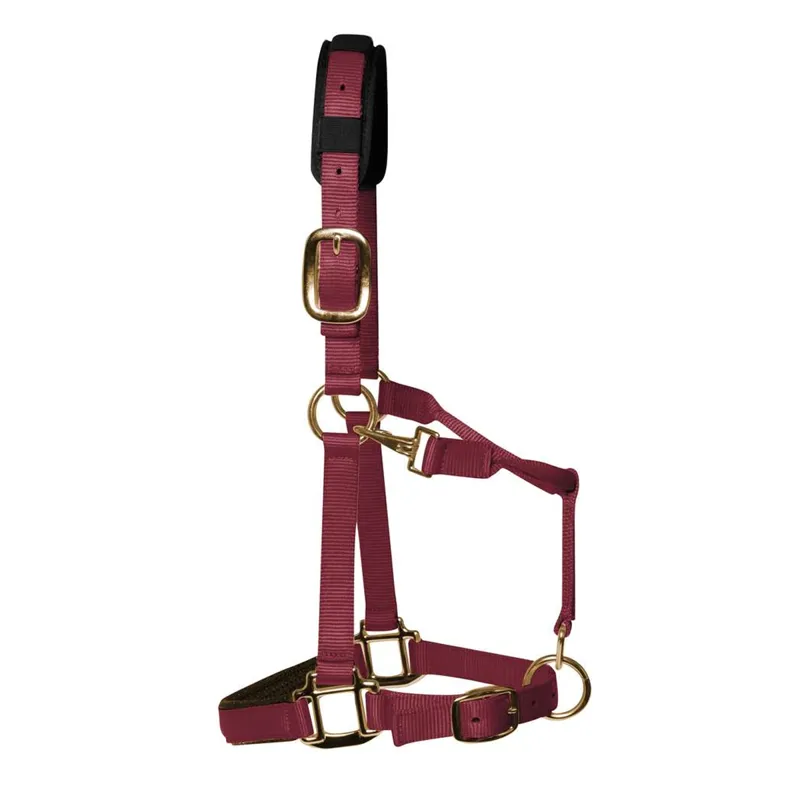 KM Elite Padded Headcollar - Burgundy