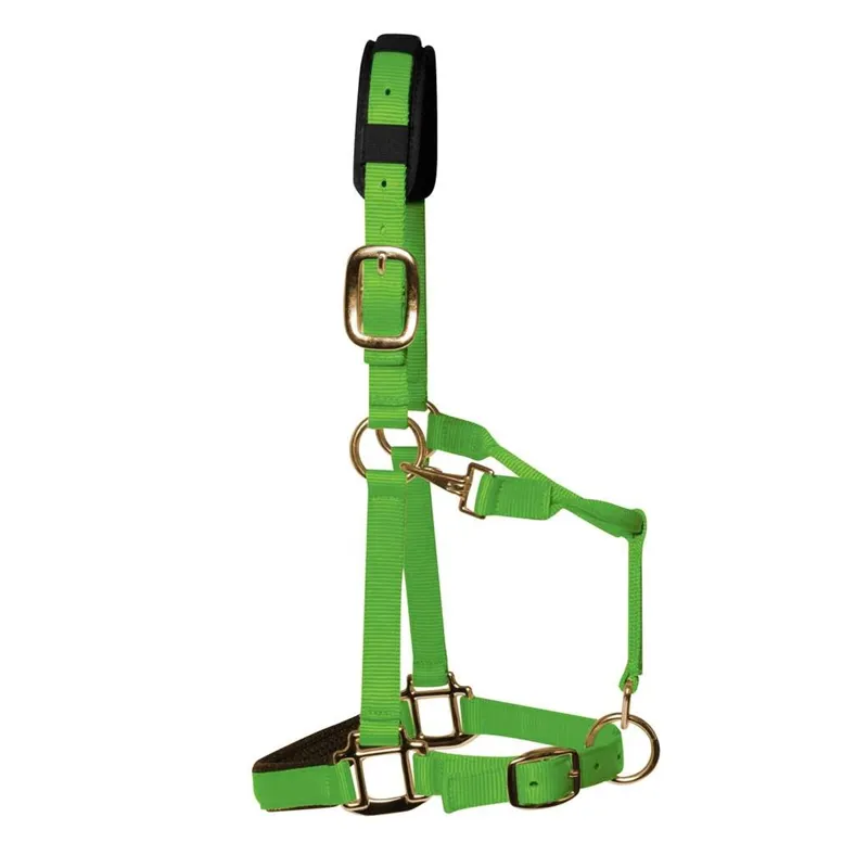 KM Elite Padded Headcollar - Hot Green