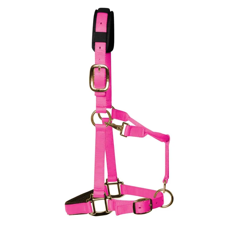 KM Elite Padded Headcollar - Hot Pink