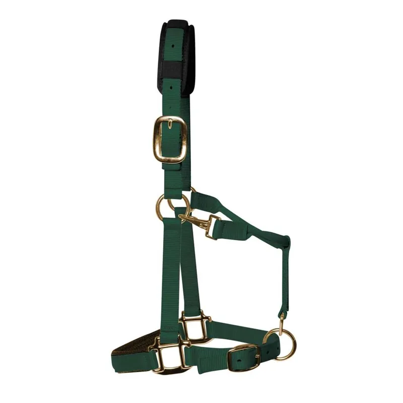 KM Elite Padded Headcollar - Hunter Green