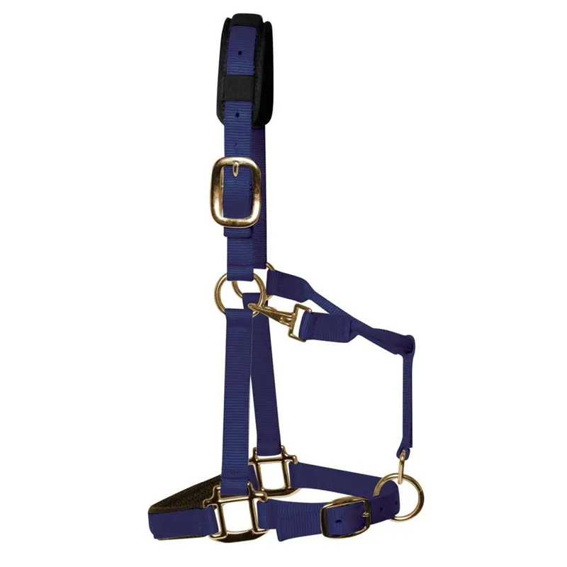 KM Elite Padded Headcollar - Navy