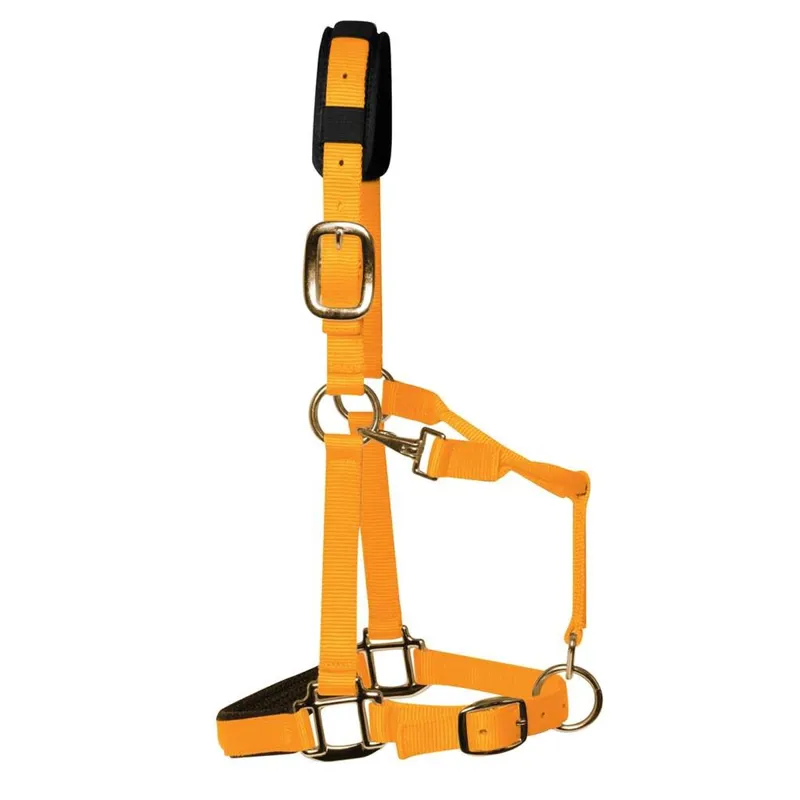 KM Elite Padded Headcollar - Orange