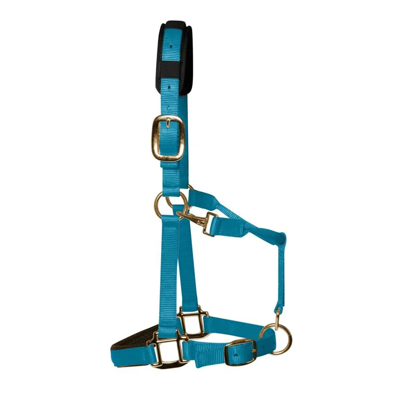 KM Elite Padded Headcollar - Pastel Blue