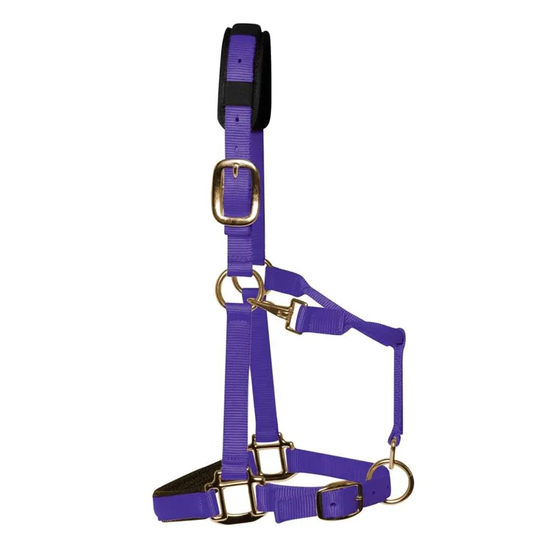 KM Elite Padded Headcollar - Purple