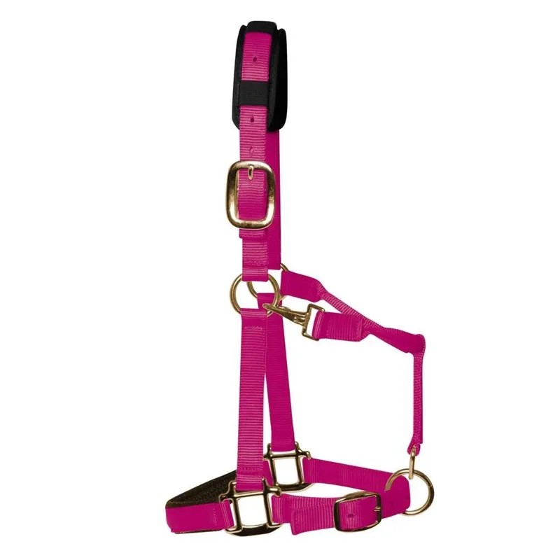 KM Elite Padded Headcollar - Raspberry