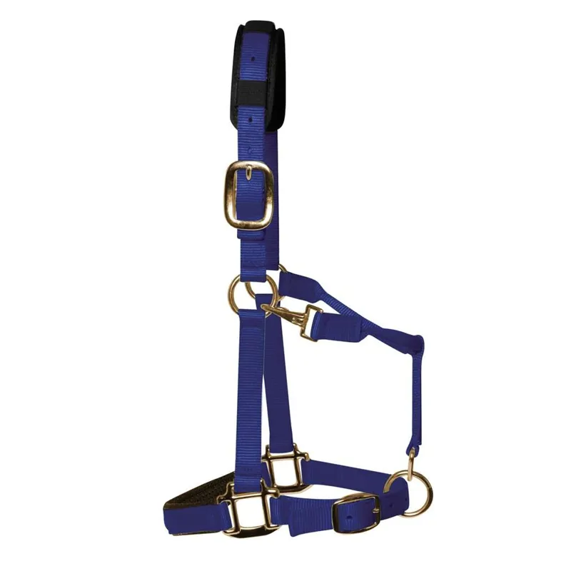KM Elite Padded Headcollar - Royal Blue