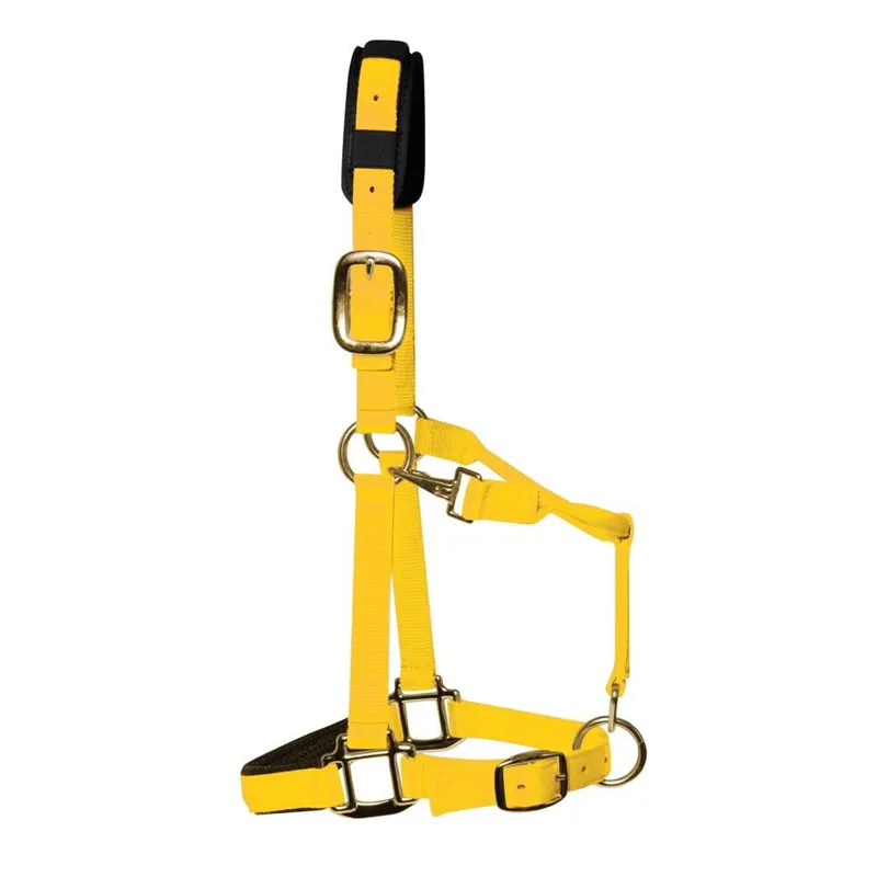 KM Elite Padded Headcollar - Yellow