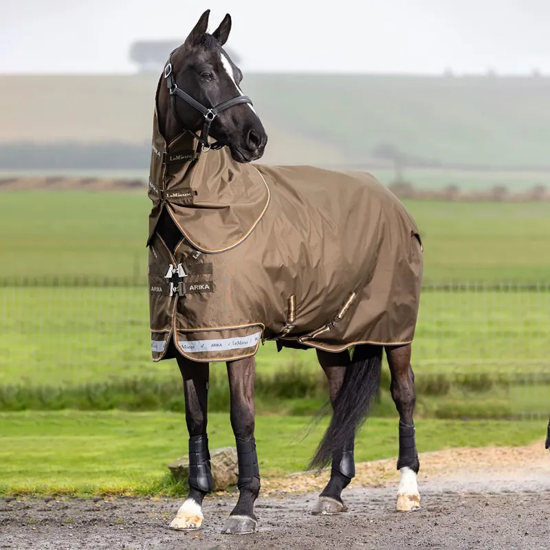 LeMieux Arika 600D Ripstop 0g Turnout Rug - Alpine-1