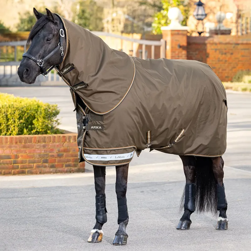 LeMieux Arika 600D Ripstop 0g Turnout Rug - Alpine