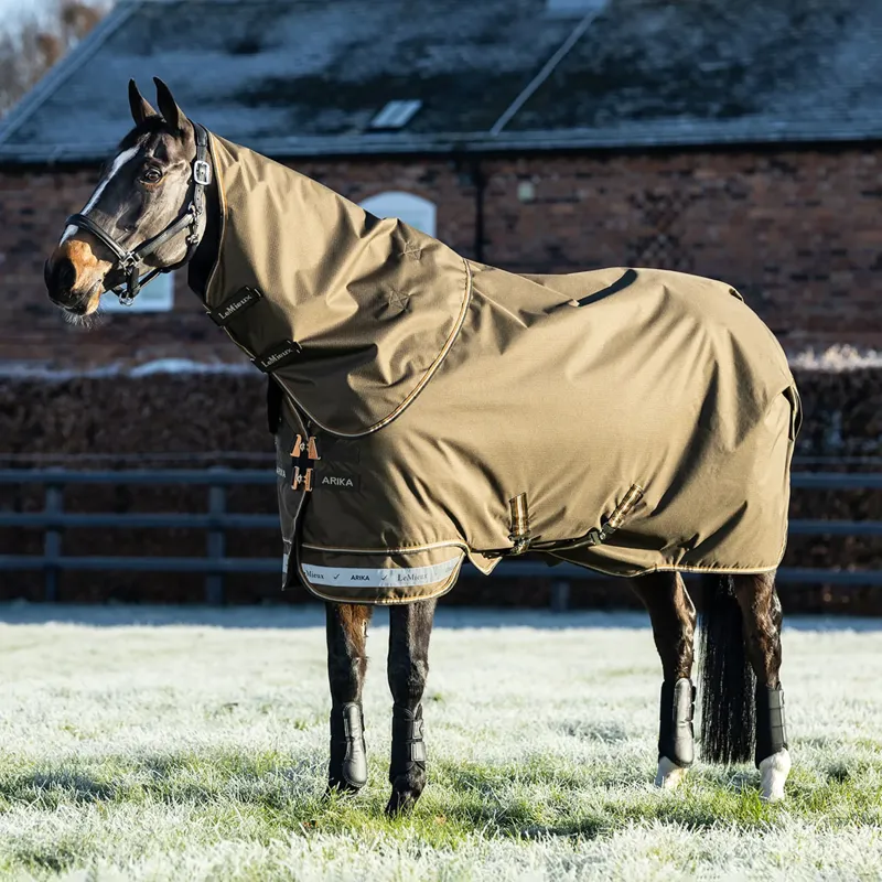 LeMieux Arika 600D Ripstop 50g Turnout Rug - Alpine-1