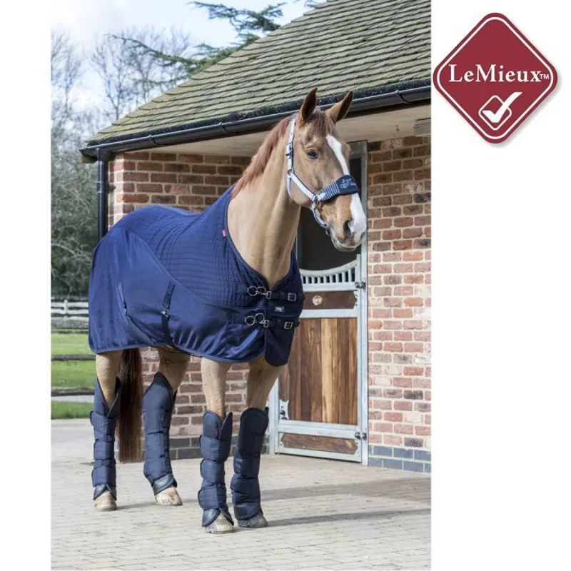 LeMieux Carbon Travel Boots - Navy-3