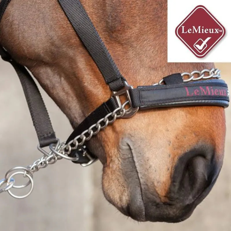 LeMieux ProSafe Headcollar - Black-1