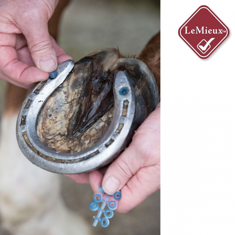 LeMieux Stud Plugz 6 Pack - Blue-2