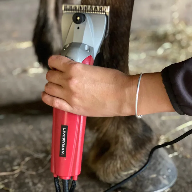 Liveryman Black Beauty Horse Clipper Mains - A2 Medium Blade Set-1