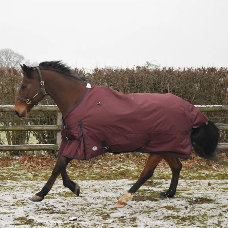JHL Essential Lightweight Plus Turnout Rug - Burgundy/Navy