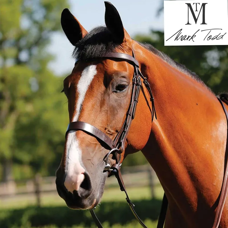 Mark Todd Hunter Bridle - Havana