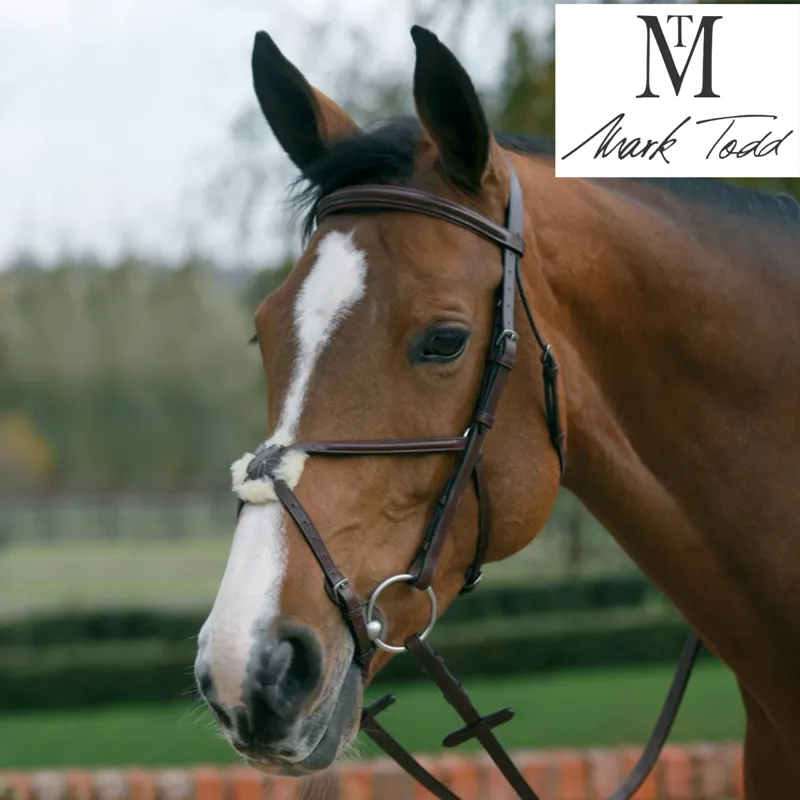 Mark Todd Padded Grackle Bridle - Havana