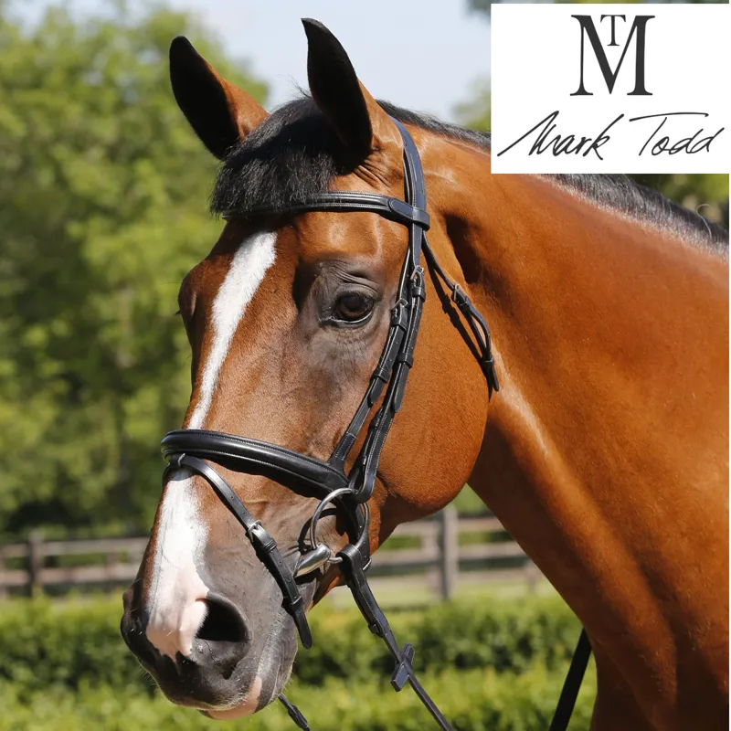 Mark Todd Performance Flash Bridle - Black