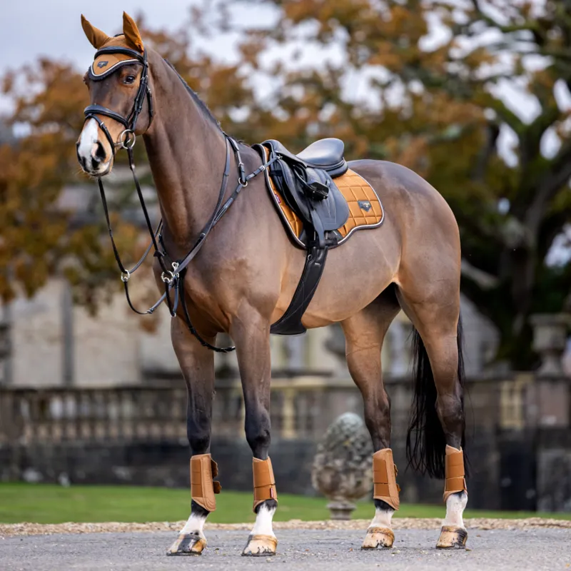 LeMieux Arika Mesh Brushing Boots - Ginger-5