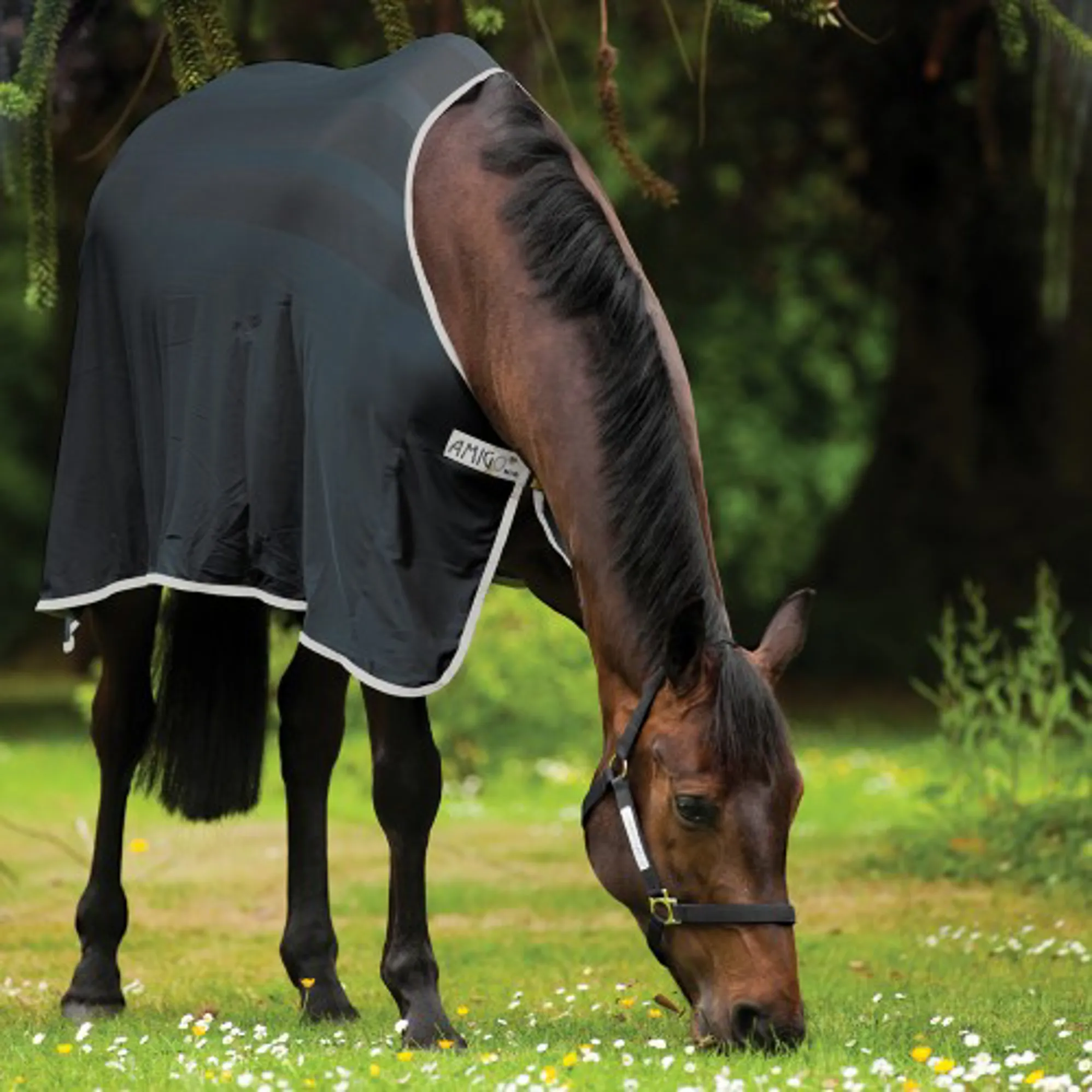 Mio Turnout Horseware - Cavaleurope Mio Turnout Horseware - Cavaleurope
