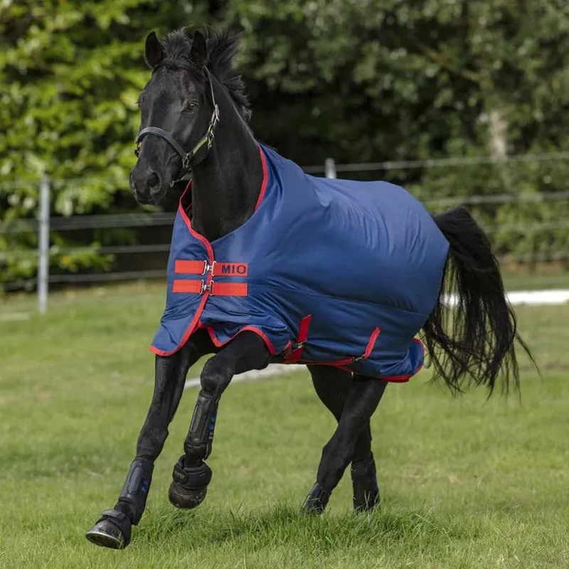 Horseware Amigo Mio Lite Turnout Rug - Dark Blue/Dark Blue/Red