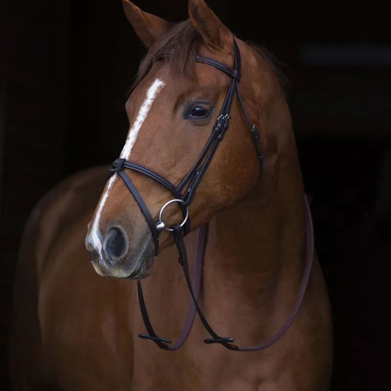 Horseware Amigo Mio Leather Bridle - Brown