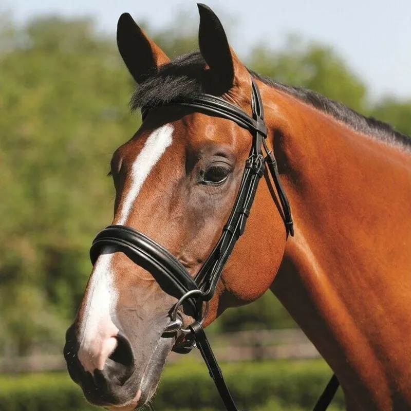 Mark Todd Padded Cavesson Bridle - Black