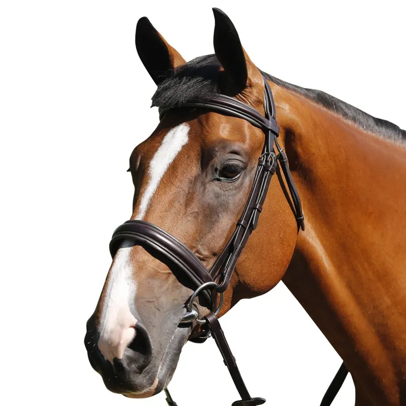 Mark Todd Padded Cavesson Bridle - Brown