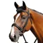 Mark Todd Padded Cavesson Bridle - Brown